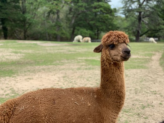 0DE8B1C8-F99B-4986-8FAB-0AAD54A088D8