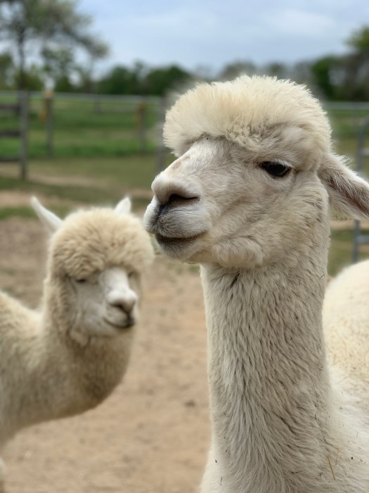 B265025C-792C-40F5-80C3-3E440F623E38